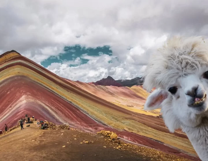 llama en la montaña de colores